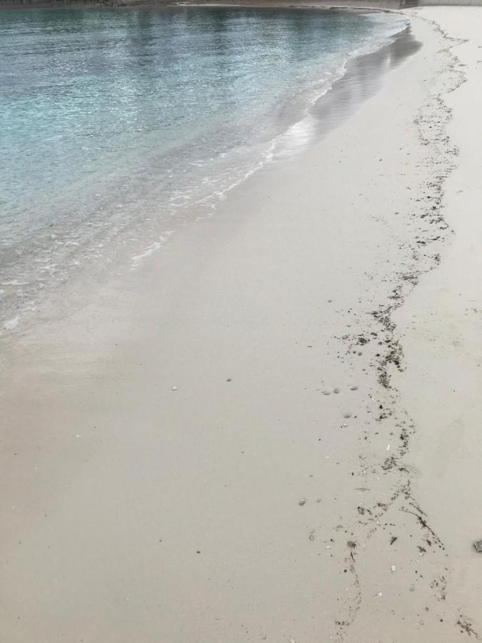 The Cay House Hotel Mangrove Cay Esterno foto
