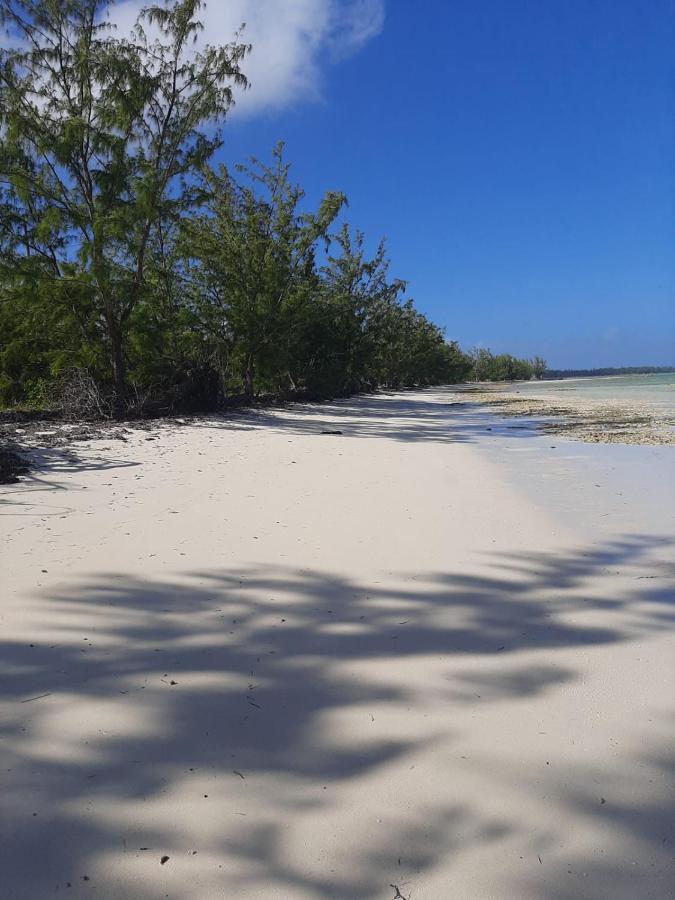 The Cay House Hotel Mangrove Cay Esterno foto